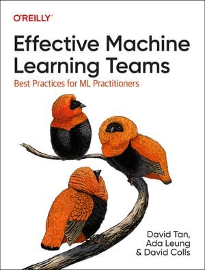 David Tan, Ada Leung, David Colls - Effective Machine Learning Teams, Häftad