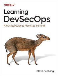 bokomslag Learning Devsecops