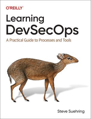 bokomslag Learning Devsecops