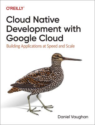 bokomslag Programming Cloud Native Applications with Google Cloud