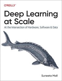 bokomslag Deep Learning at Scale