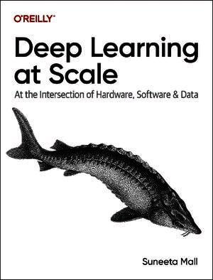 Deep Learning at Scale