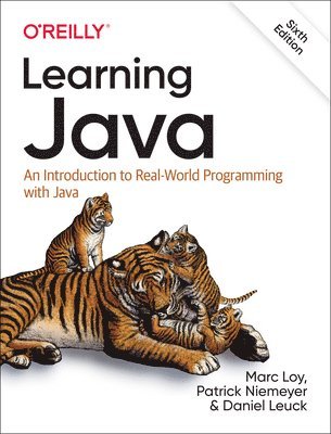 bokomslag Learning Java
