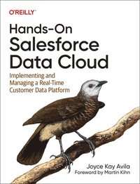 bokomslag Hands-On Salesforce Data Cloud