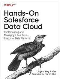 bokomslag Hands-On Salesforce Data Cloud: Implementing and Managing a Real-Time Customer Data Platform