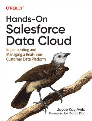 bokomslag Hands-On Salesforce Data Cloud