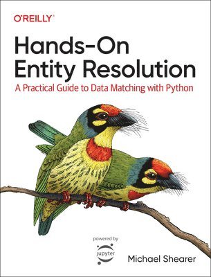 bokomslag Hands-On Entity Resolution