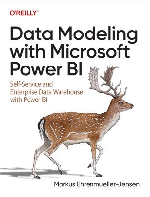 bokomslag Data Modeling with Microsoft Power BI