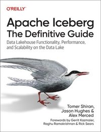 bokomslag Apache Iceberg: The Definitive Guide