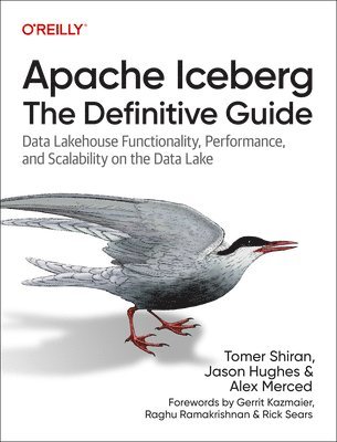 bokomslag Apache Iceberg: The Definitive Guide