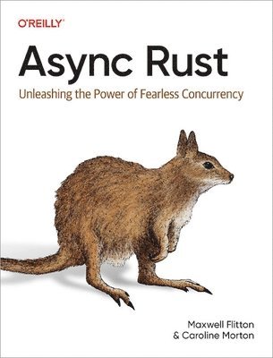 Async Rust 1