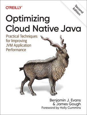 bokomslag Optimizing Cloud Native Java