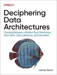 bokomslag Deciphering Data Architectures