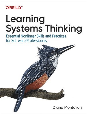 bokomslag Learning Systems Thinking