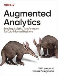 bokomslag Augmented Analytics