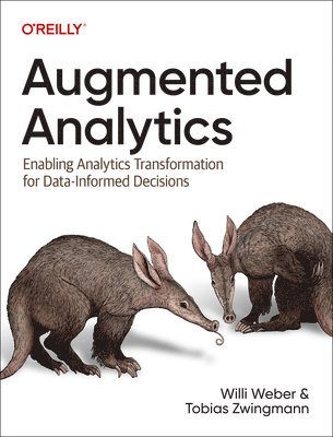 bokomslag Augmented Analytics