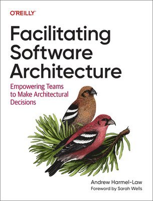 bokomslag Facilitating Software Architecture