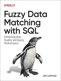bokomslag Fuzzy Data Matching with SQL