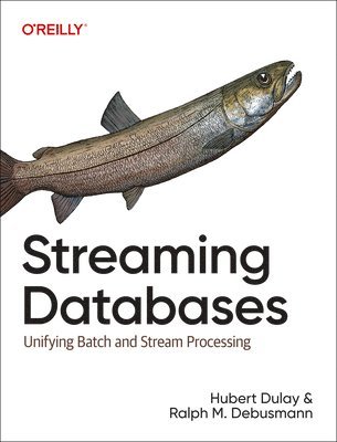 Hubert Dulay, Raplh Matthias Debusmann, Ralph Matthias Debusmann, Ralph Debusmann - Streaming Databases, Häftad