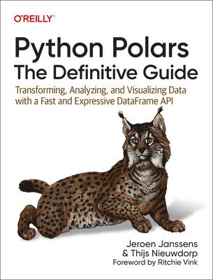 bokomslag Python Polars: The Definitive Guide