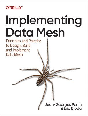 Implementing Data Mesh 1
