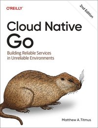 bokomslag Cloud Native Go