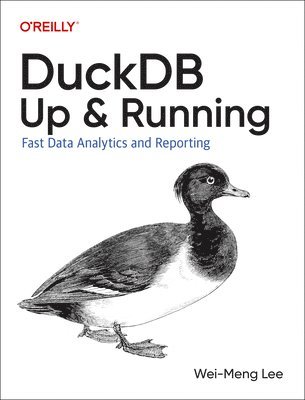 bokomslag DuckDB: Up and Running