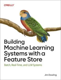 bokomslag Building Machine Learning Systems with a Feature Store