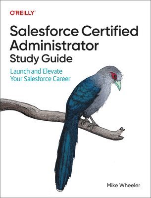 bokomslag Salesforce Certified Administrators Study Guide
