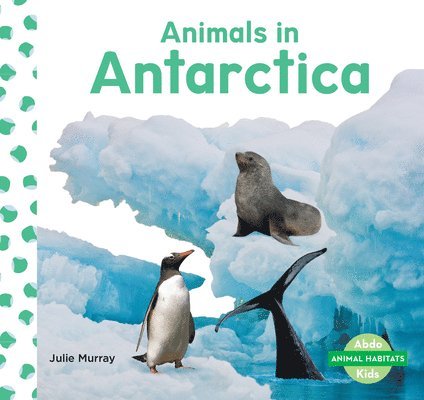 Animals in Antarctica