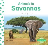 bokomslag Animals in Savannas