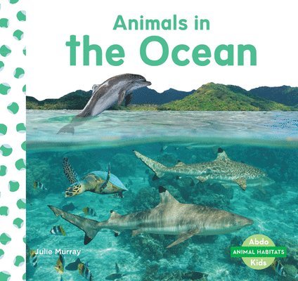 Animals in the Ocean