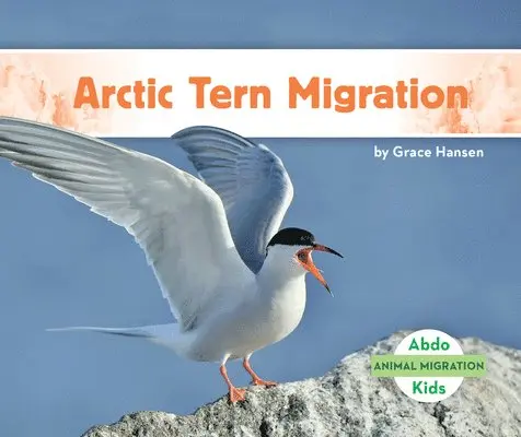 Grace Hansen - Arctic Tern Migration, Inbunden. Tillgänglighet: Lägg i varukorg