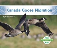 bokomslag Canada Goose Migration