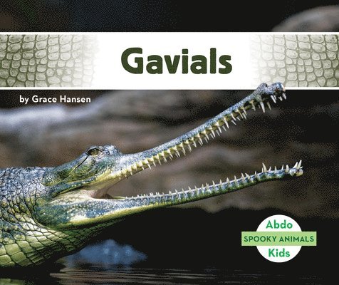 Gavials 1