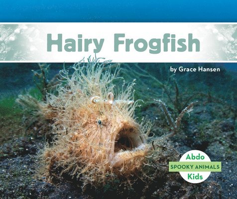 Hairy Frogfish 1