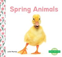 bokomslag Spring Animals
