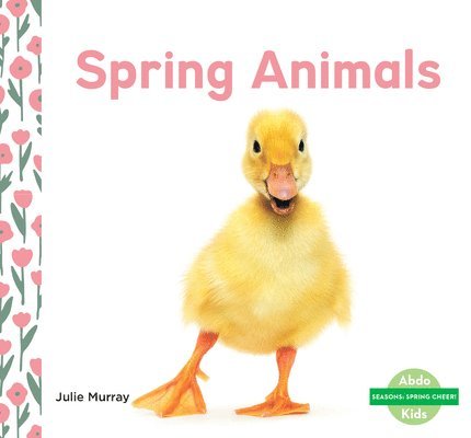 Spring Animals 1