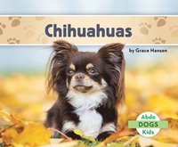 bokomslag Chihuahuas