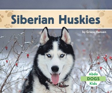 bokomslag Siberian Huskies