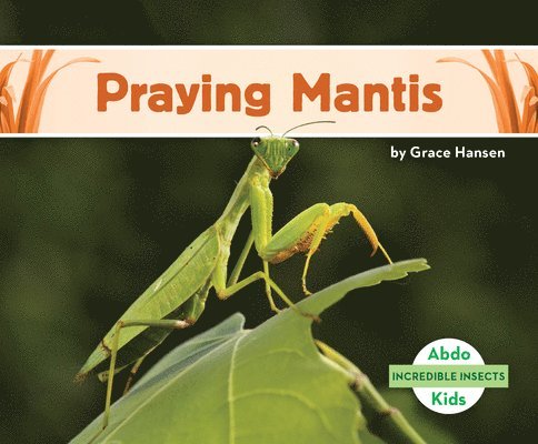 Grace Hansen - Praying Mantis, Inbunden