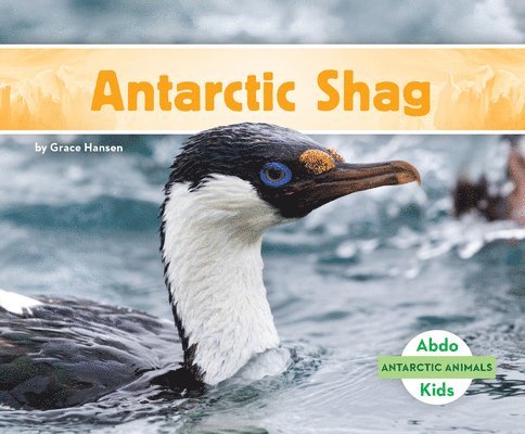 Grace Hansen - Antarctic Shag, Inbunden