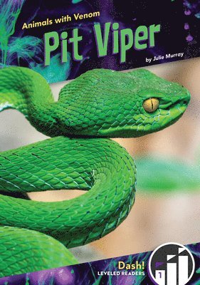 Pit Viper 1