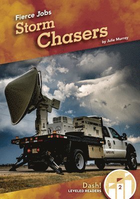 bokomslag Storm Chasers