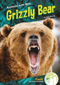 bokomslag Grizzly Bear