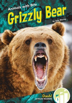 bokomslag Grizzly Bear