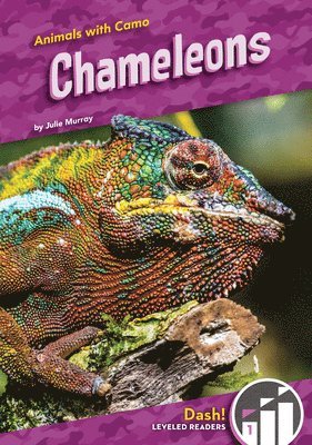bokomslag Chameleons