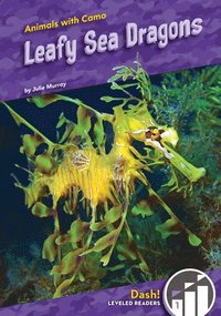 bokomslag Leafy Sea Dragons