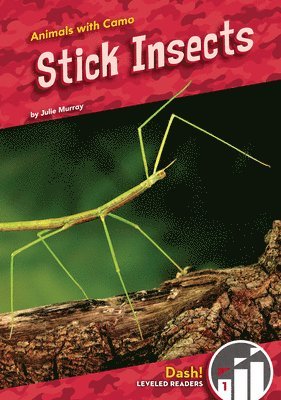 bokomslag Stick Insects