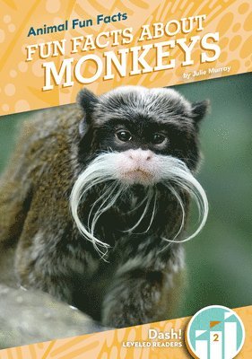 Julie Murray - Fun Facts about Monkeys, Inbunden